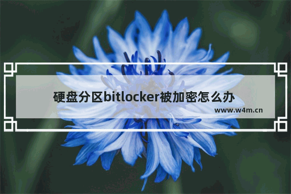 硬盘分区bitlocker被加密怎么办 硬盘bitlocker加密怎么解除