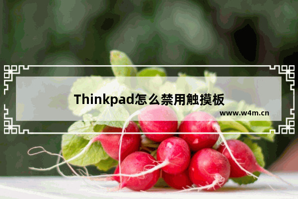 Thinkpad怎么禁用触摸板