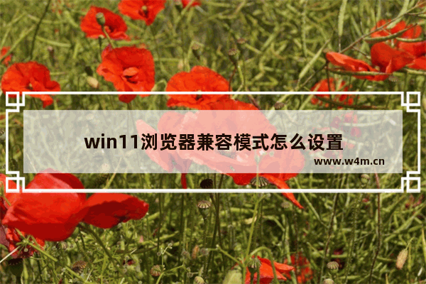 win11浏览器兼容模式怎么设置