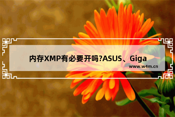 内存XMP有必要开吗?ASUS、Gigabyte、MSI主板开启XMP提高内存频率方法