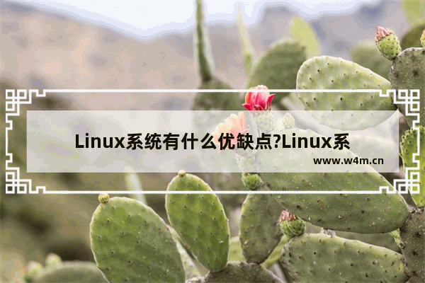 Linux系统有什么优缺点?Linux系统优缺点分析