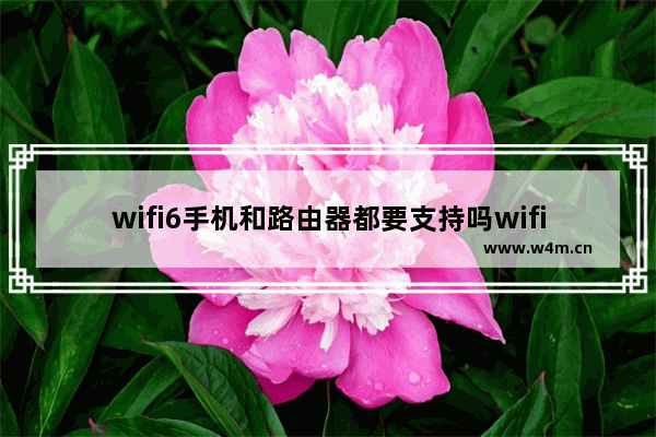 wifi6手机和路由器都要支持吗wifi6手机和路由器是否都要支持详细教程