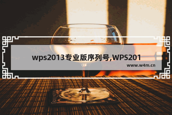 wps2013专业版序列号,WPS2012序列号