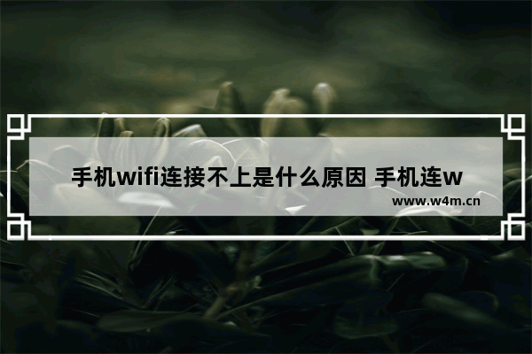 手机wifi连接不上是什么原因 手机连wifi总显示连接失败