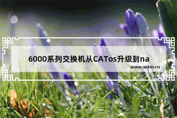 6000系列交换机从CATos升级到nativeIOS攻略