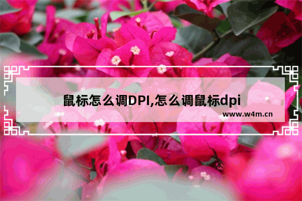 鼠标怎么调DPI,怎么调鼠标dpi