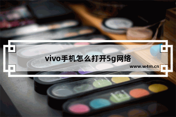 vivo手机怎么打开5g网络