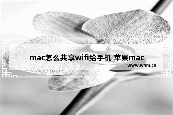 mac怎么共享wifi给手机 苹果mac分享wifi给手机方法