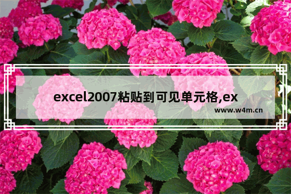 excel2007粘贴到可见单元格,excel2016怎么粘贴到可见单元格