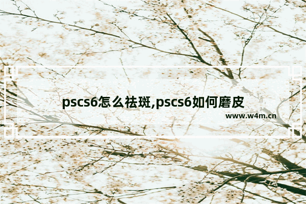 pscs6怎么祛斑,pscs6如何磨皮