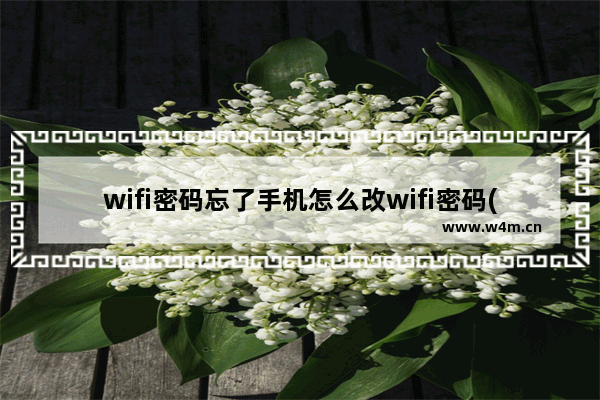 wifi密码忘了手机怎么改wifi密码(手机怎么修改wifi密码号密码忘了怎么办)