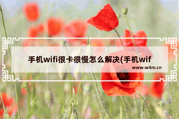 手机wifi很卡很慢怎么解决(手机wifi很卡很慢怎么回事)