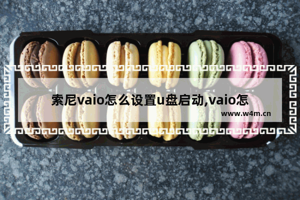 索尼vaio怎么设置u盘启动,vaio怎么进入bios选u盘启动