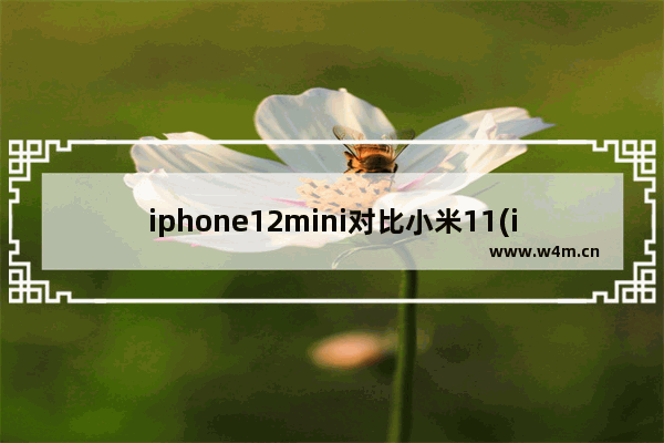 iphone12mini对比小米11(iphone13对比小米11)