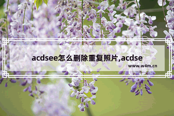 acdsee怎么删除重复照片,acdsee批量删除相同照片