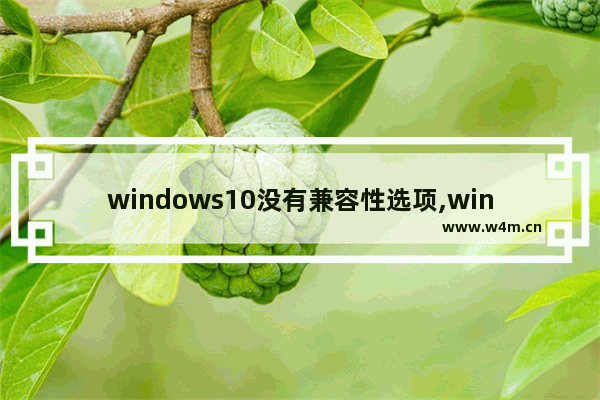 windows10没有兼容性选项,window10没有兼容性选项