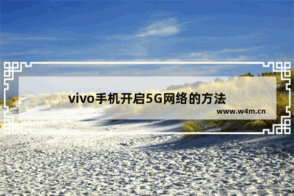 vivo手机开启5G网络的方法