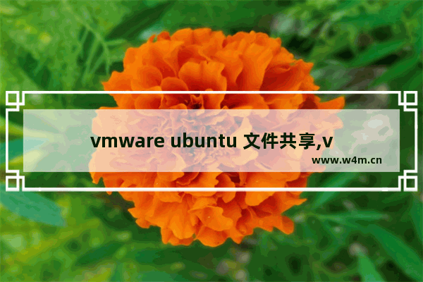 vmware ubuntu 文件共享,vmware ubuntu和主机共享文件夹