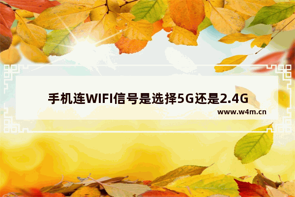 手机连WIFI信号是选择5G还是2.4G好？