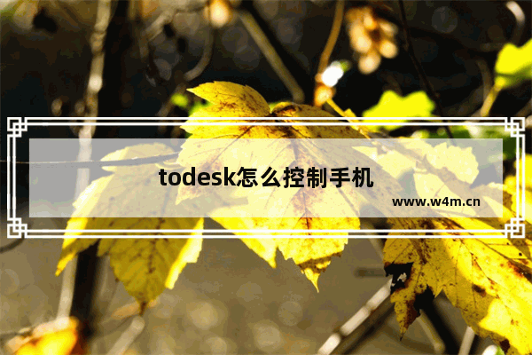 todesk怎么控制手机