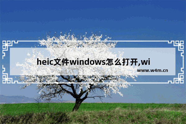 heic文件windows怎么打开,windows可以打开heic吗