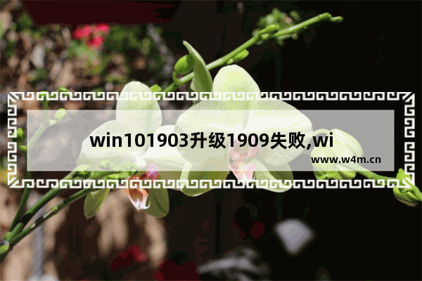 win101903升级1909失败,win10无法升级1909