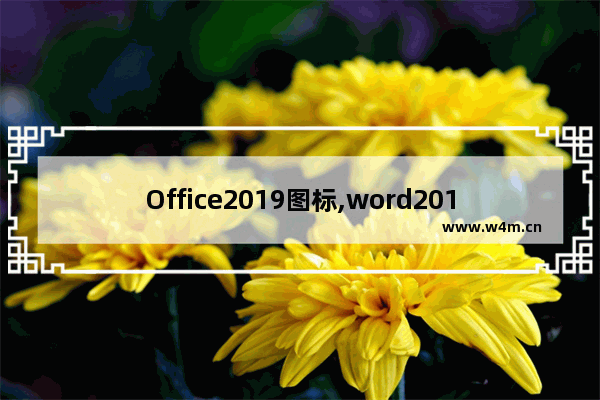 Office2019图标,word2019的图标