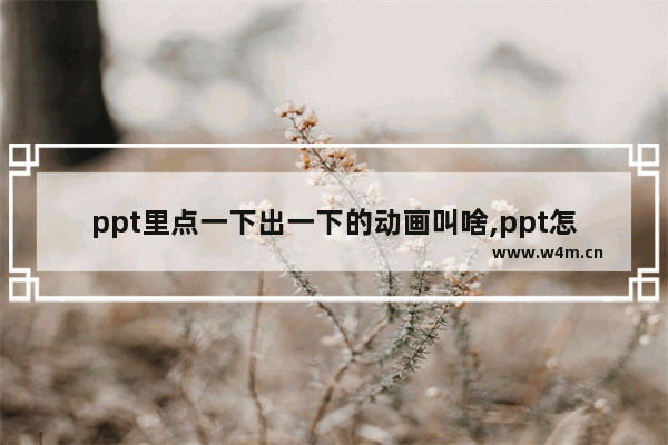 ppt里点一下出一下的动画叫啥,ppt怎么能点一下出来一个画面