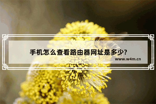 手机怎么查看路由器网址是多少?