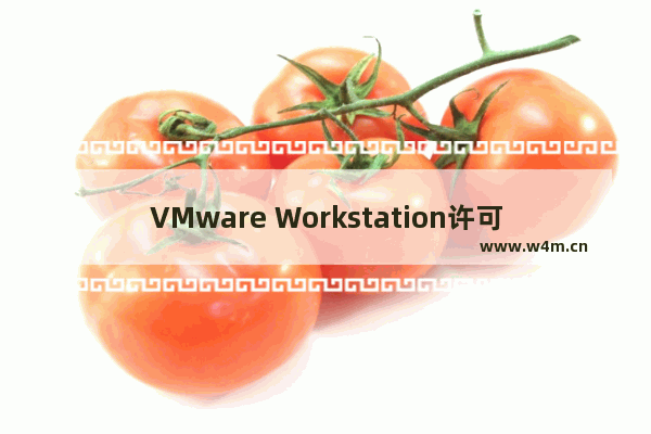 VMware Workstation许可证密钥,vmware workstation16的许可证密钥