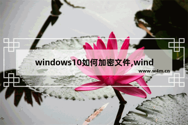 windows10如何加密文件,windows8怎么给文件夹加密