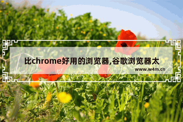 比chrome好用的浏览器,谷歌浏览器太好用了