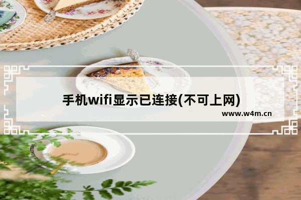 手机wifi显示已连接(不可上网)