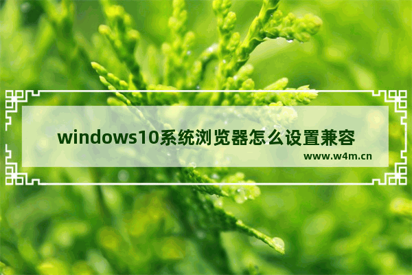 windows10系统浏览器怎么设置兼容模式,win10系统浏览器兼容性设置