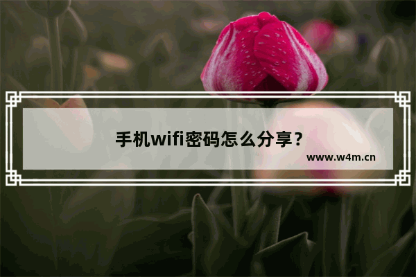 手机wifi密码怎么分享？