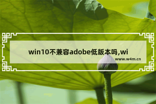 win10不兼容adobe低版本吗,win10怎么把adobe reader设置为默认打开