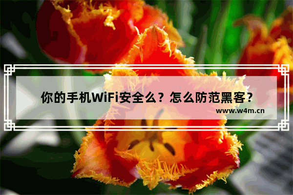 你的手机WiFi安全么？怎么防范黑客？