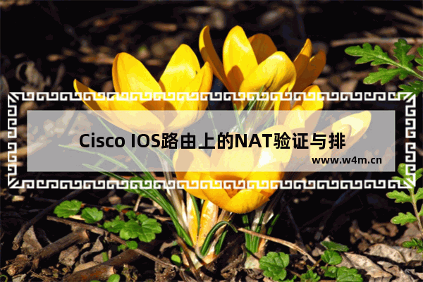 Cisco IOS路由上的NAT验证与排错