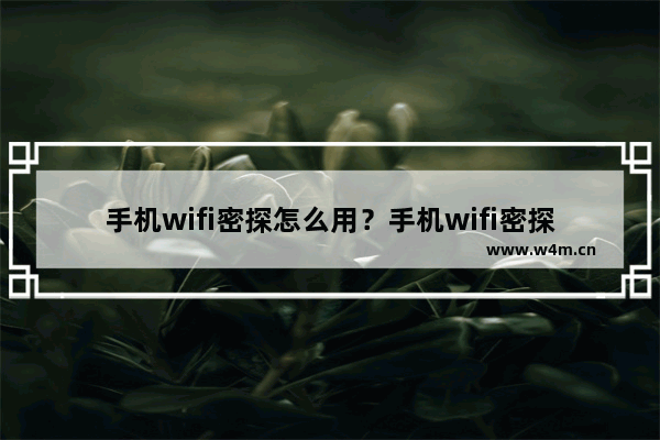 手机wifi密探怎么用？手机wifi密探查看wifi密码方法