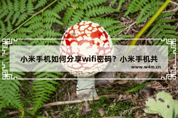 小米手机如何分享wifi密码？小米手机共享wifi密码步骤介绍