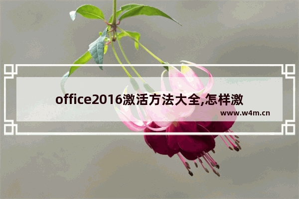 office2016激活方法大全,怎样激活office2016