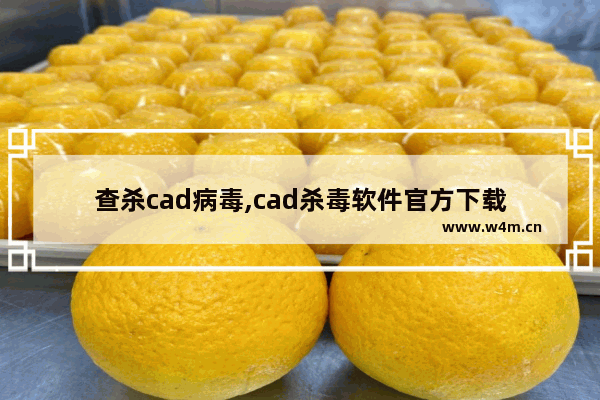 查杀cad病毒,cad杀毒软件官方下载