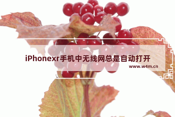 iPhonexr手机中无线网总是自动打开的解决方法