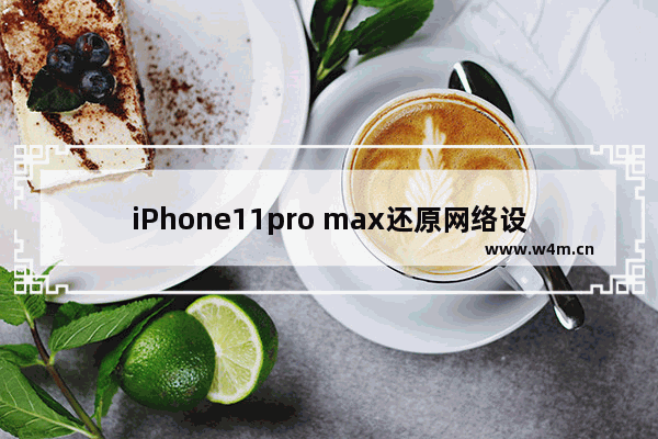 iPhone11pro max还原网络设置的具体方法