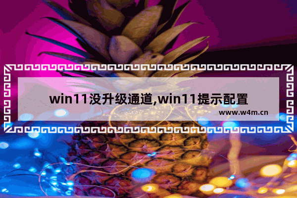 win11没升级通道,win11提示配置不够