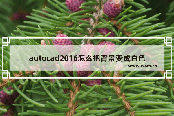 autocad2016怎么把背景变成白色,autocad2007怎么把背景变成白色