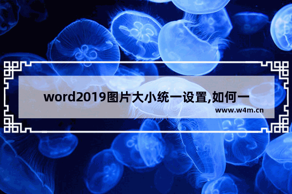 word2019图片大小统一设置,如何一次性调节word2019所有图片