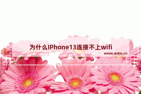 为什么IPhone13连接不上wifi