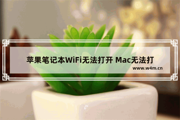 苹果笔记本WiFi无法打开 Mac无法打开WiFi解决办法