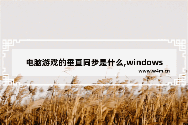 电脑游戏的垂直同步是什么,windows10垂直同步